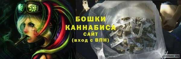 крисы Алексин