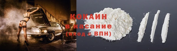 индика Армянск