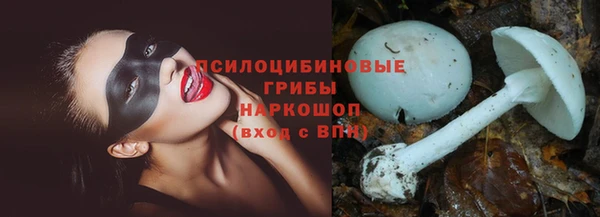гидропоника Алзамай