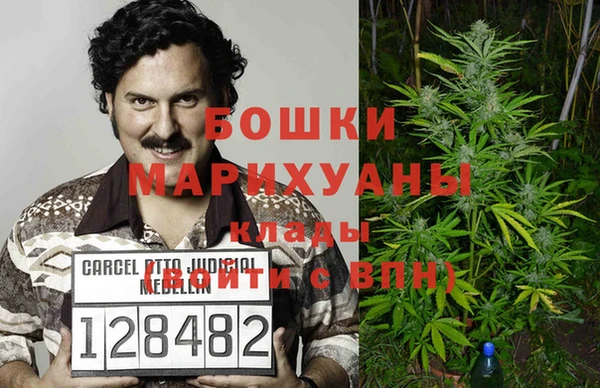 гидропоника Алзамай
