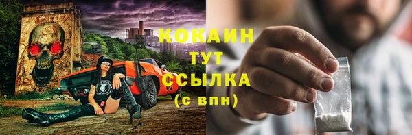 индика Армянск