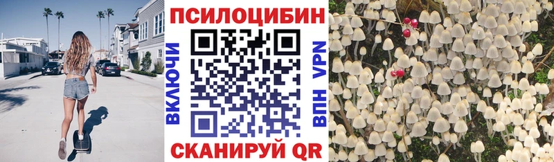 Купить где  Камышлов  Псилоцибиновые грибы ЛСД 